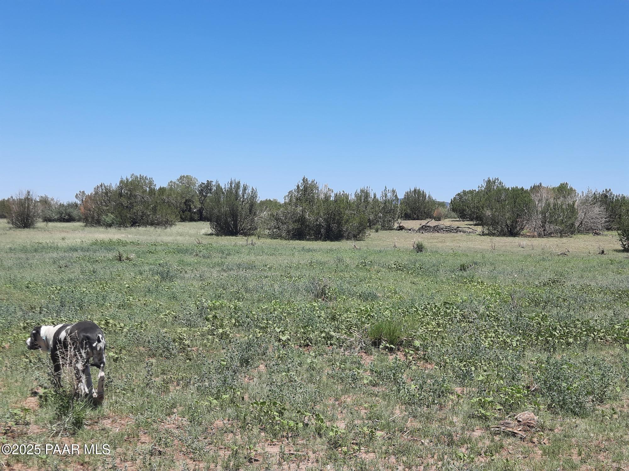 Lot 1316 Anvil Rock Rd