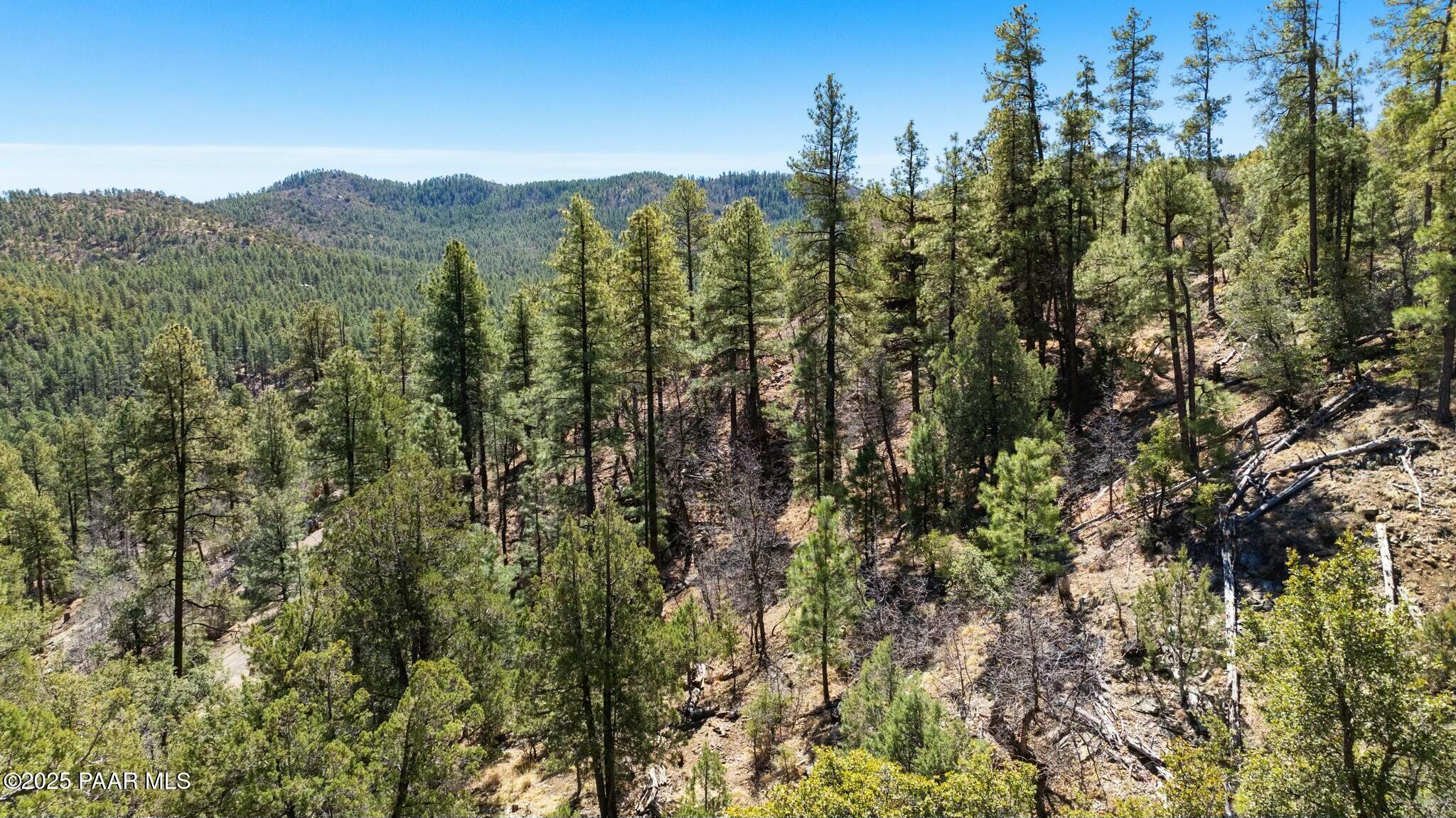 003 S Blue Jay Road