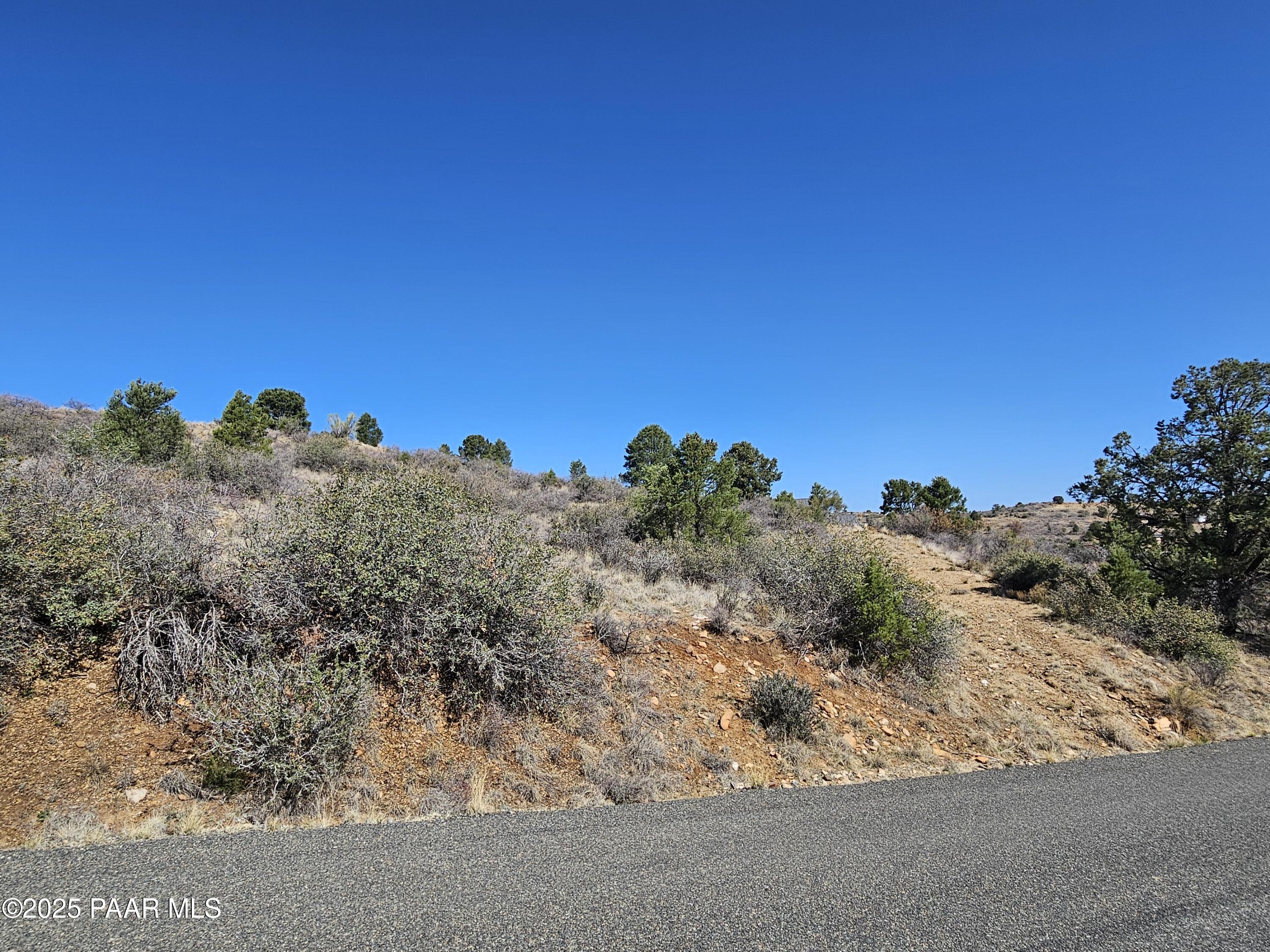 17798 Tawny Lane