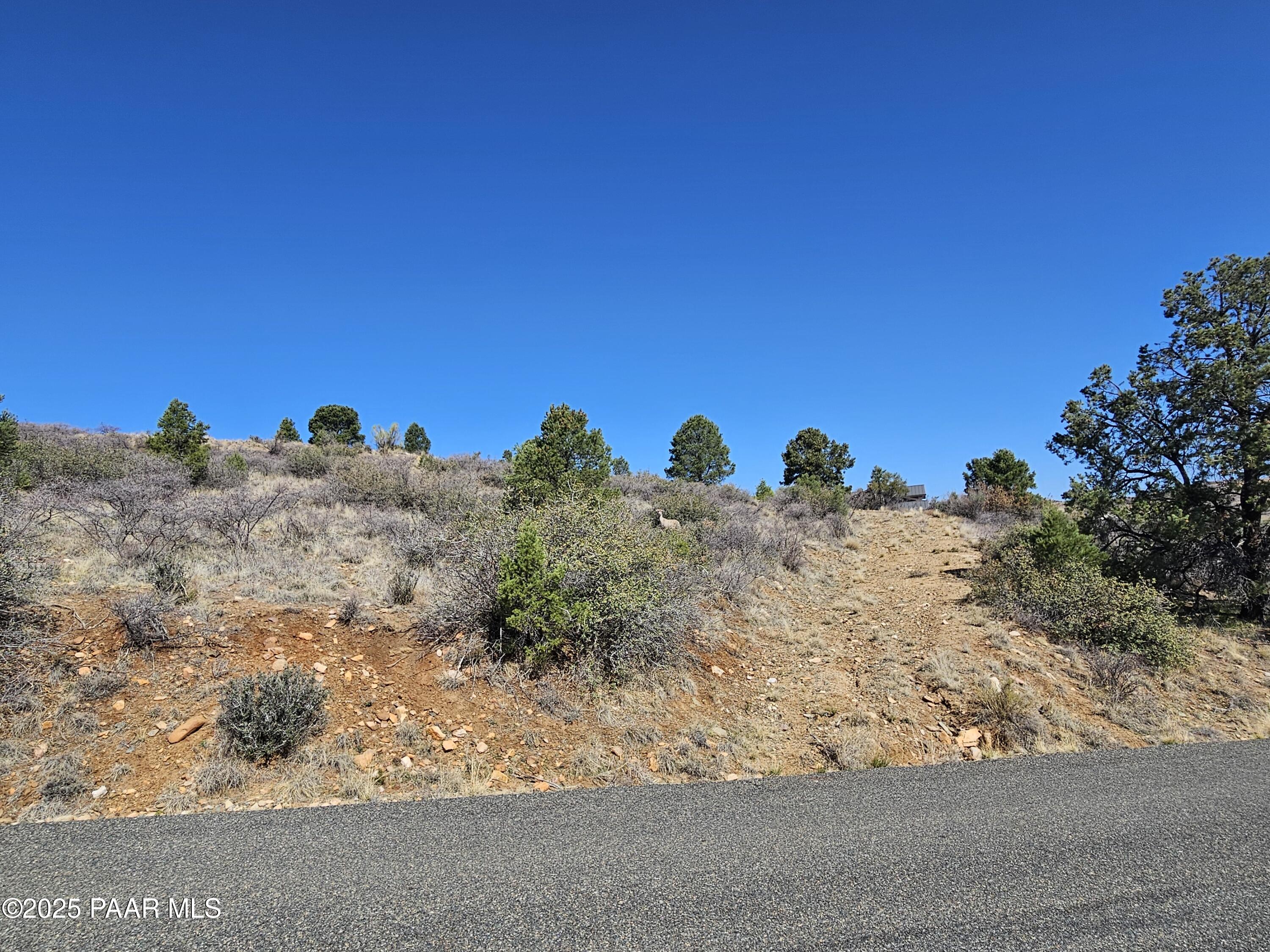17798 Tawny Lane