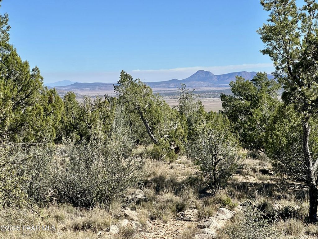 Photo of 30425 W Conejo Road, Seligman, AZ 86337 (MLS # 1077927)