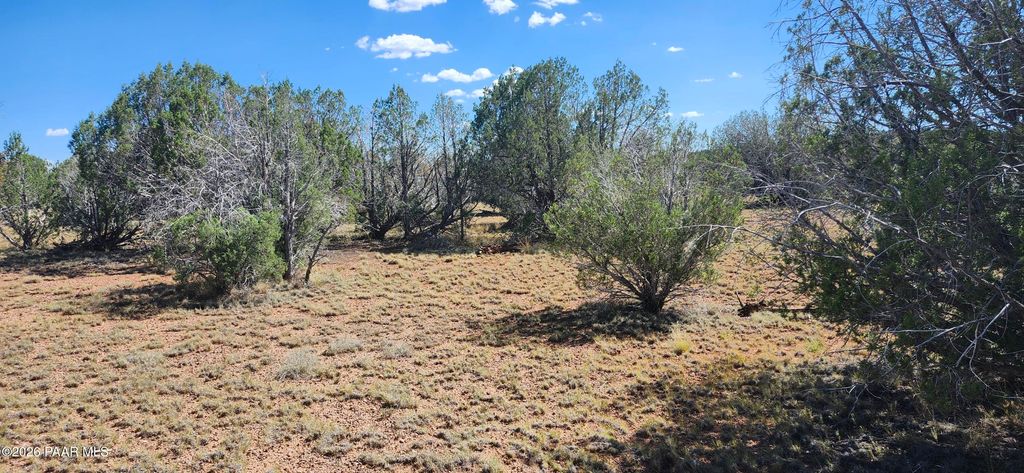 Photo of 2901 W Cienega Drive, Williams, AZ 86046 (MLS # 1083614)