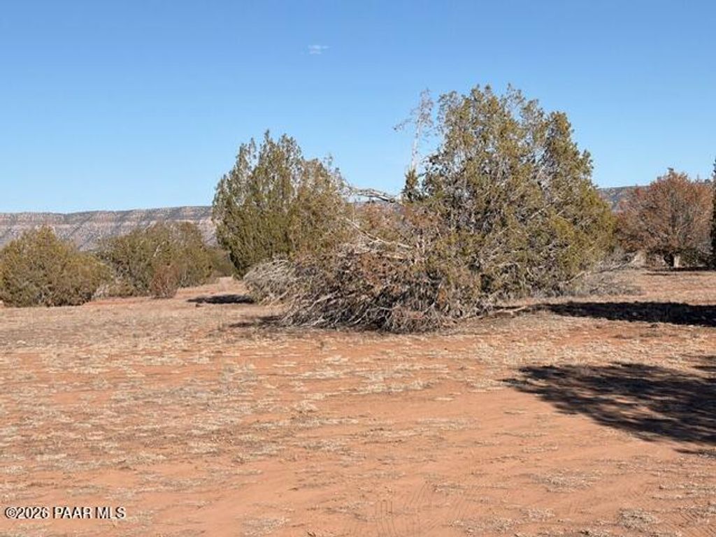 Photo of 58179 N Bridge Canyon Parkway, Seligman, AZ 86337 (MLS # 1079391)