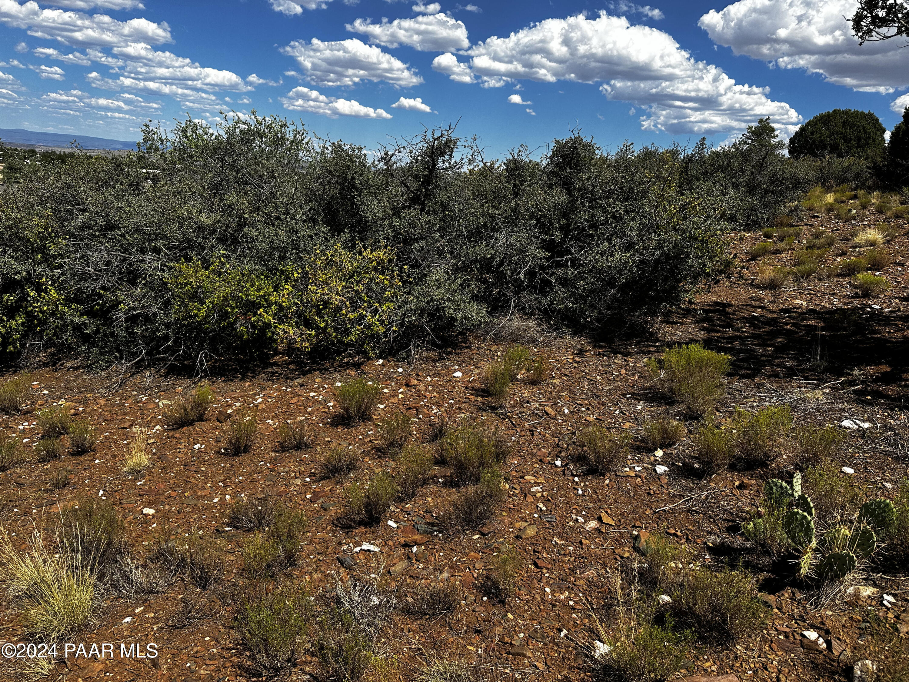 3725 W Road Runner Drive