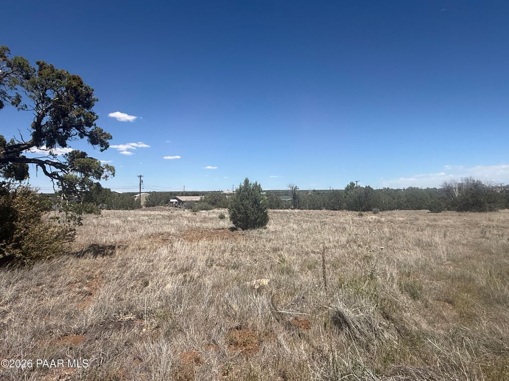 Photo of 839496 Silver Creek Drive, Show Low, AZ 85901 (MLS # 1082282)