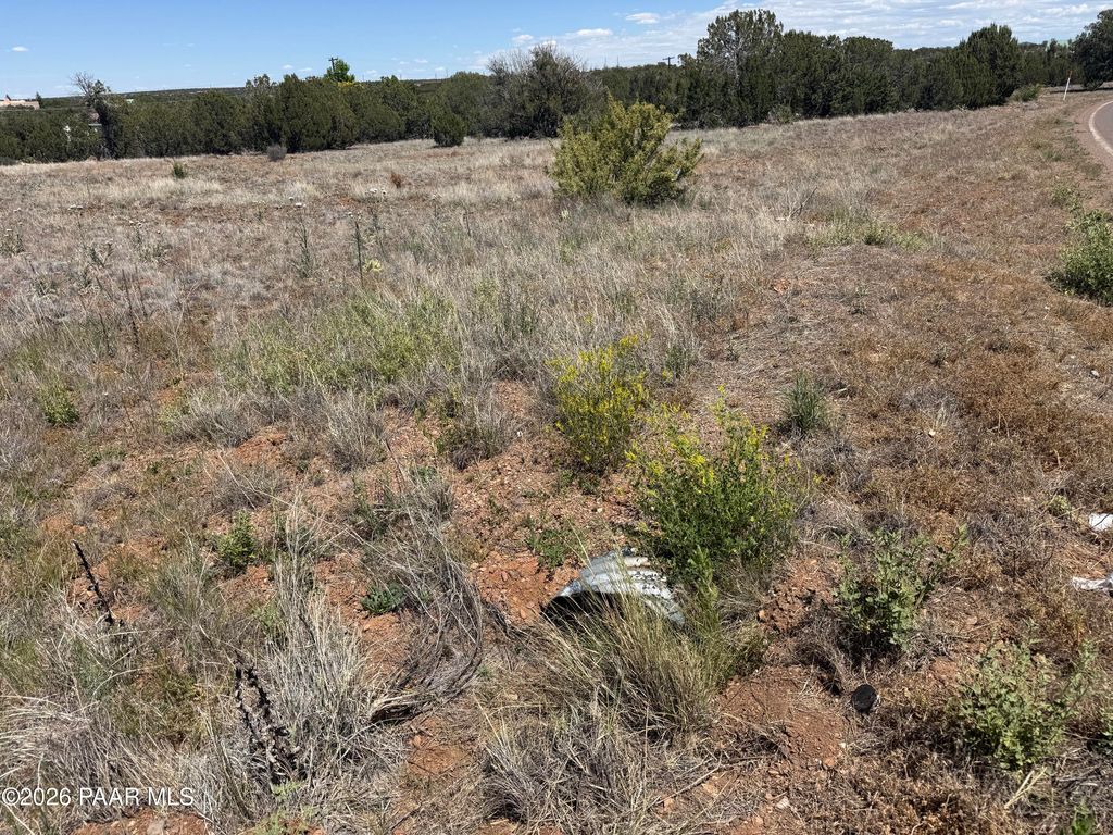 Photo of 839496 Silver Creek Drive, Show Low, AZ 85901 (MLS # 1082282)