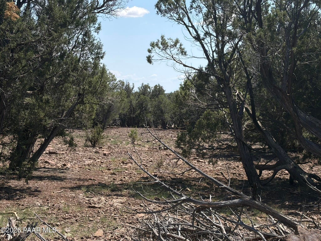 Photo of 00 Nw Nine Shooter Road, Williams, AZ 86046 (MLS # 1085049)