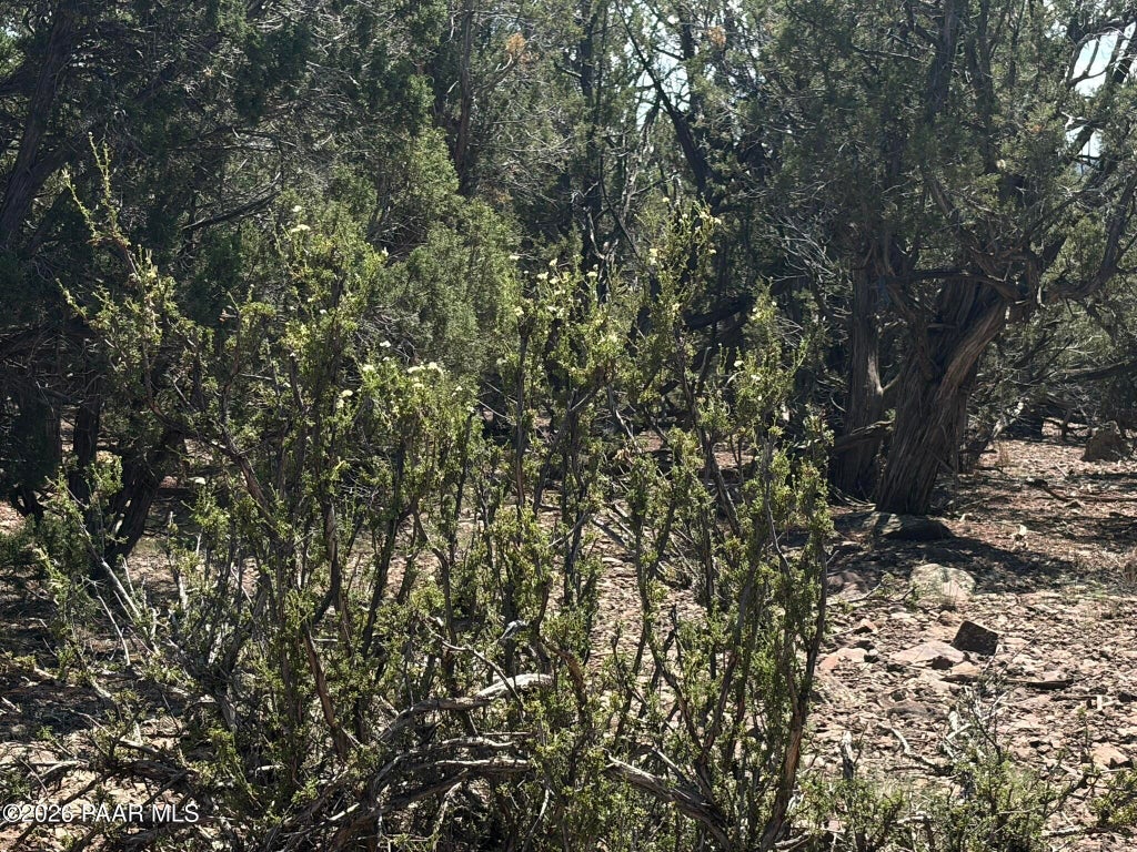 Photo of 00 Nw Nine Shooter Road, Williams, AZ 86046 (MLS # 1085049)