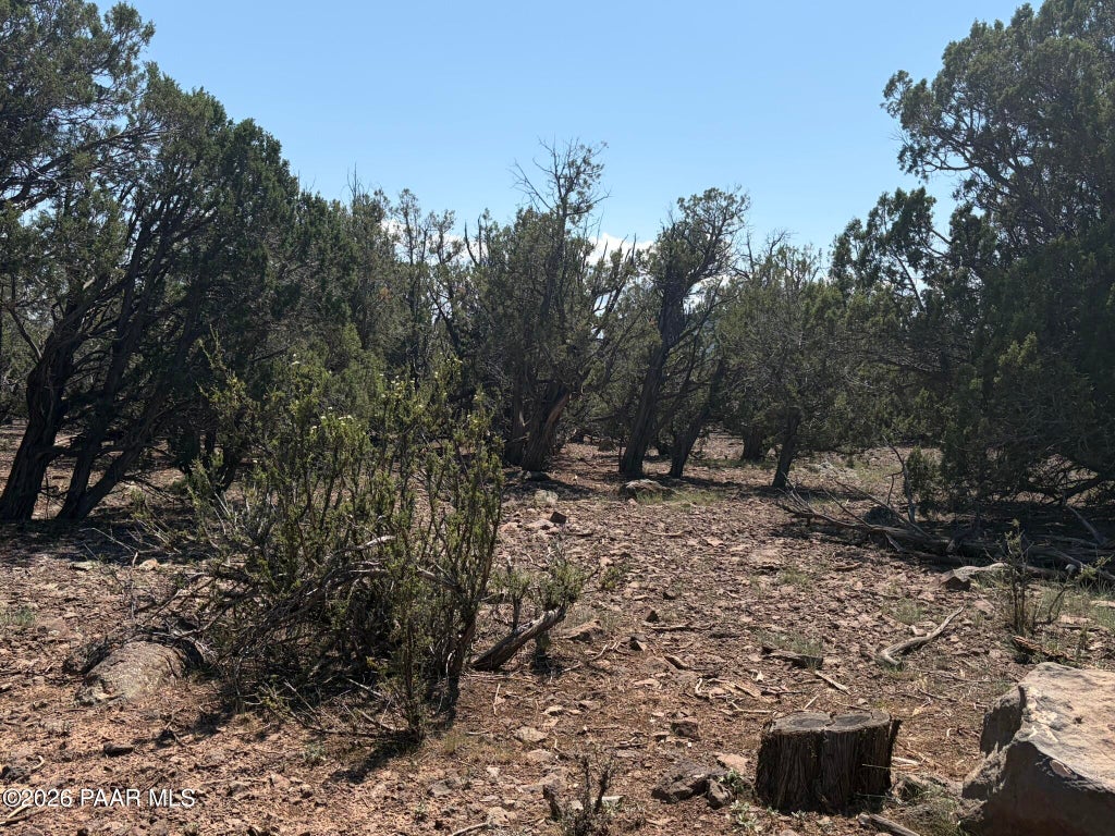 Photo of 00 Nw Nine Shooter Road, Williams, AZ 86046 (MLS # 1085049)