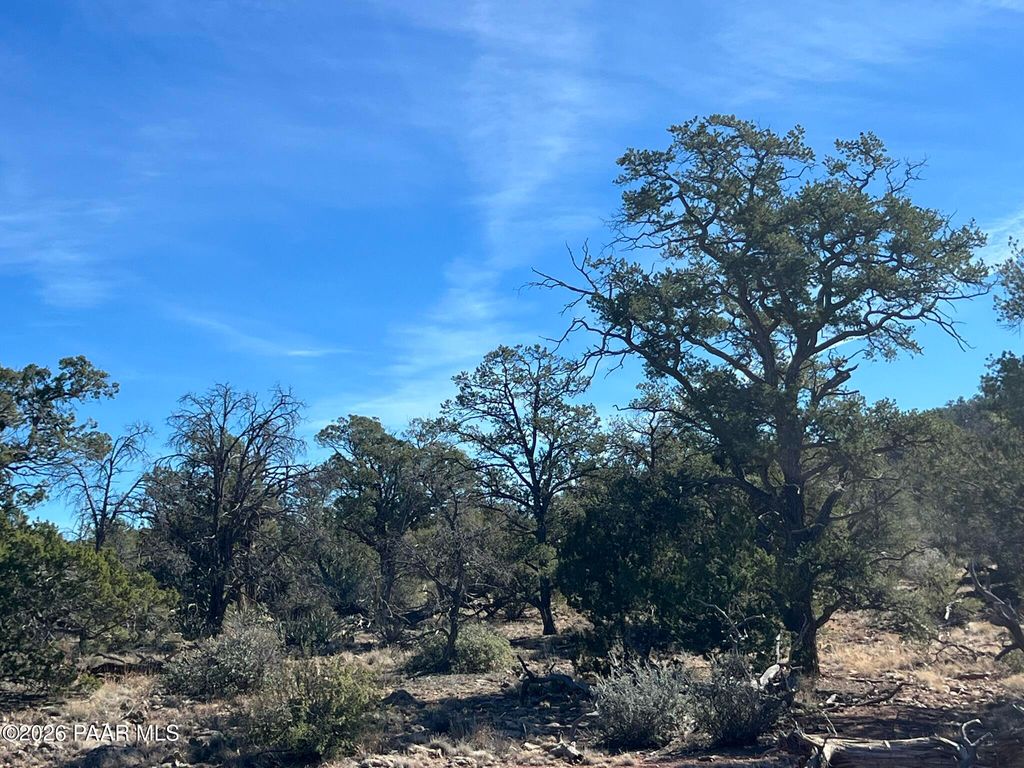 Photo of 362 Big View Trail, Ash Fork, AZ 86320 (MLS # 1080172)