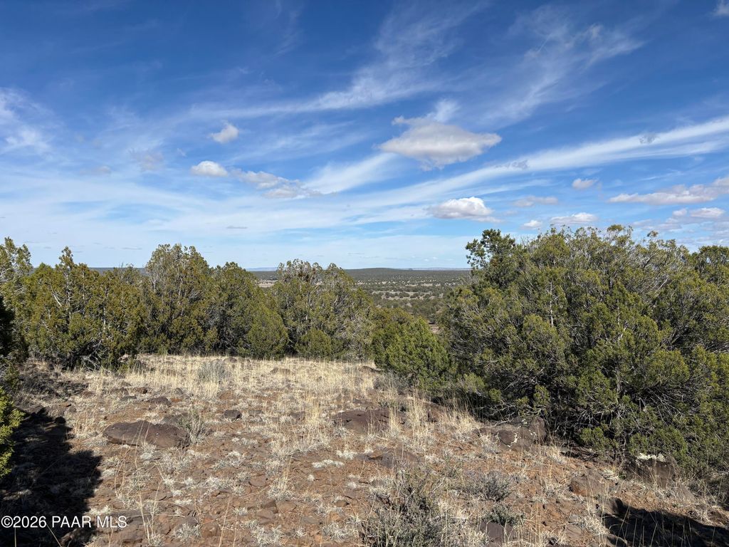 Photo of 35226004 Doe Trail, Kingman, AZ 86401 (MLS # 1083049)