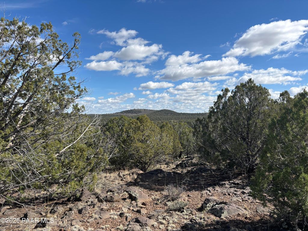 Photo of 35226004 Doe Trail, Kingman, AZ 86401 (MLS # 1083049)