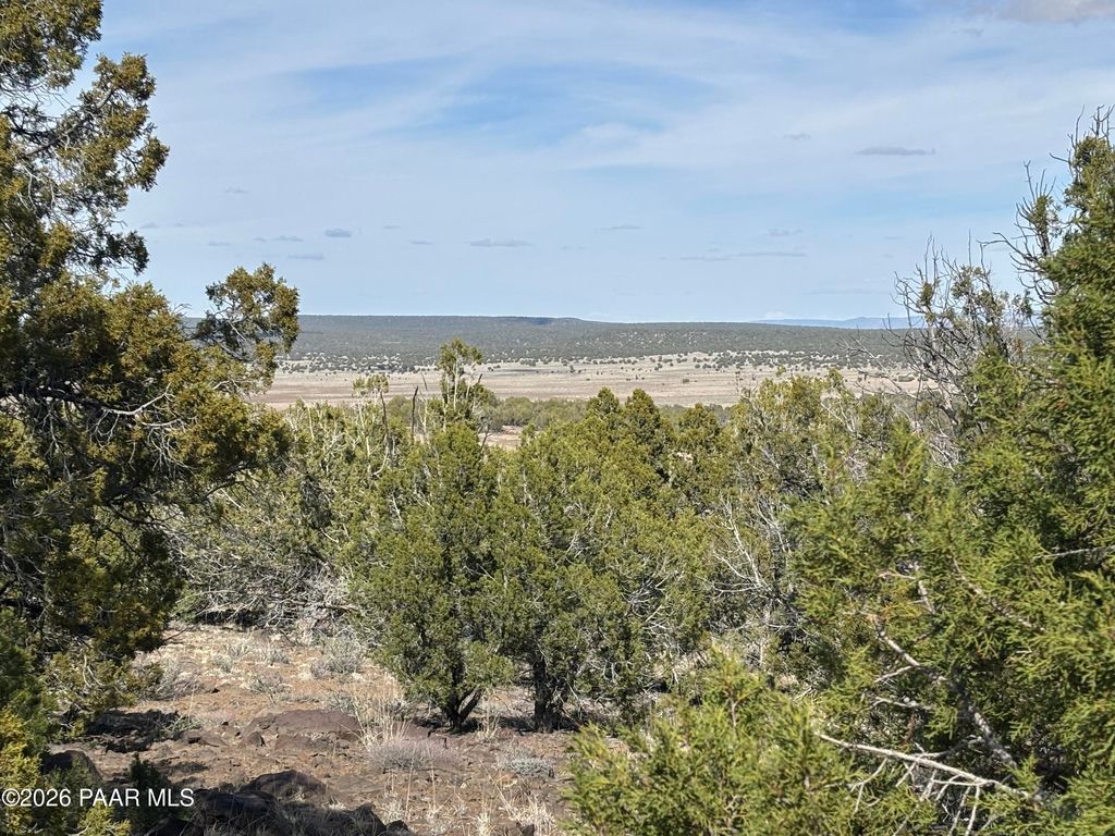Photo of 35226004 Doe Trail, Kingman, AZ 86401 (MLS # 1083049)