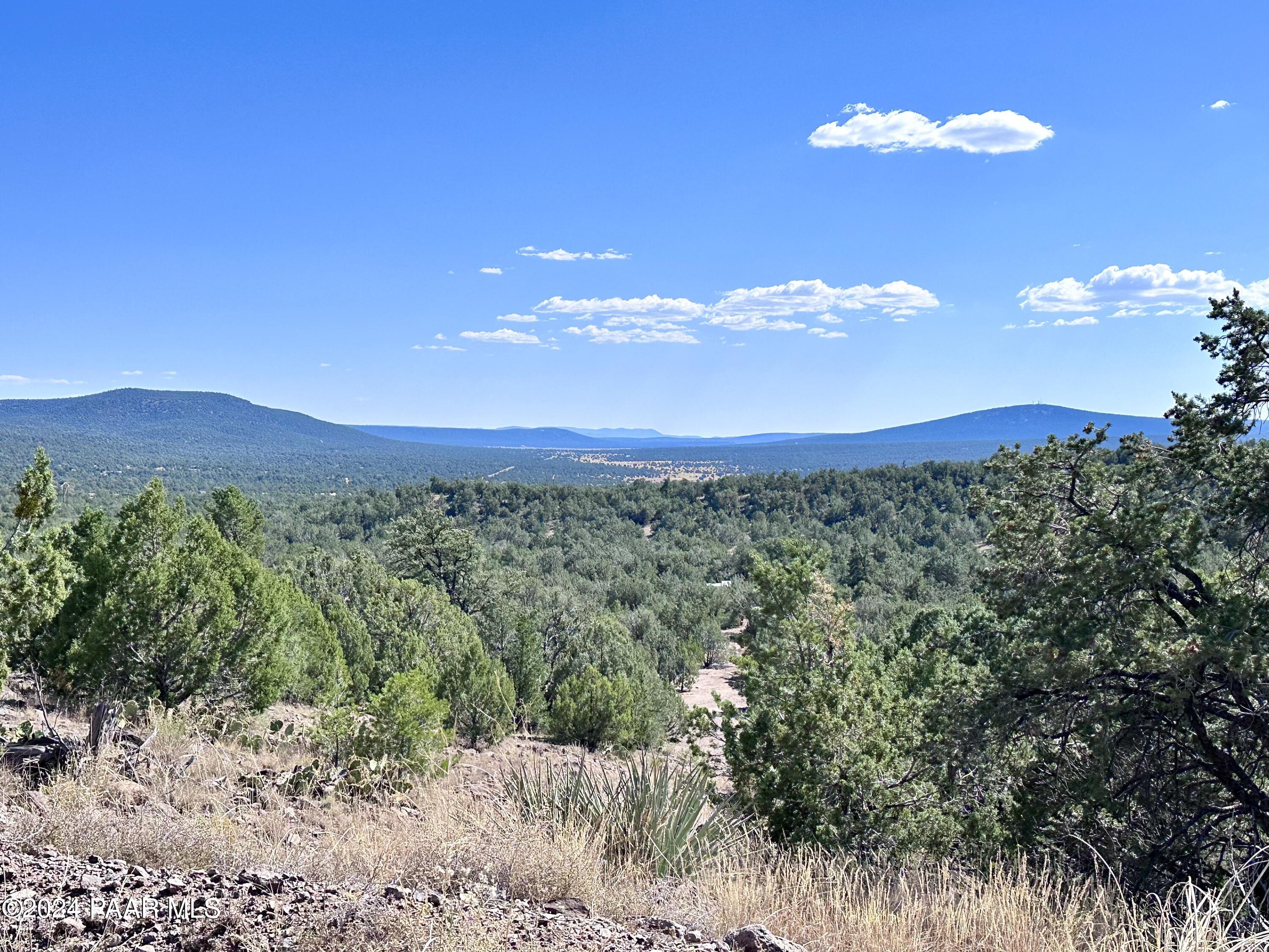 Lot 1173 N Wonderland Way