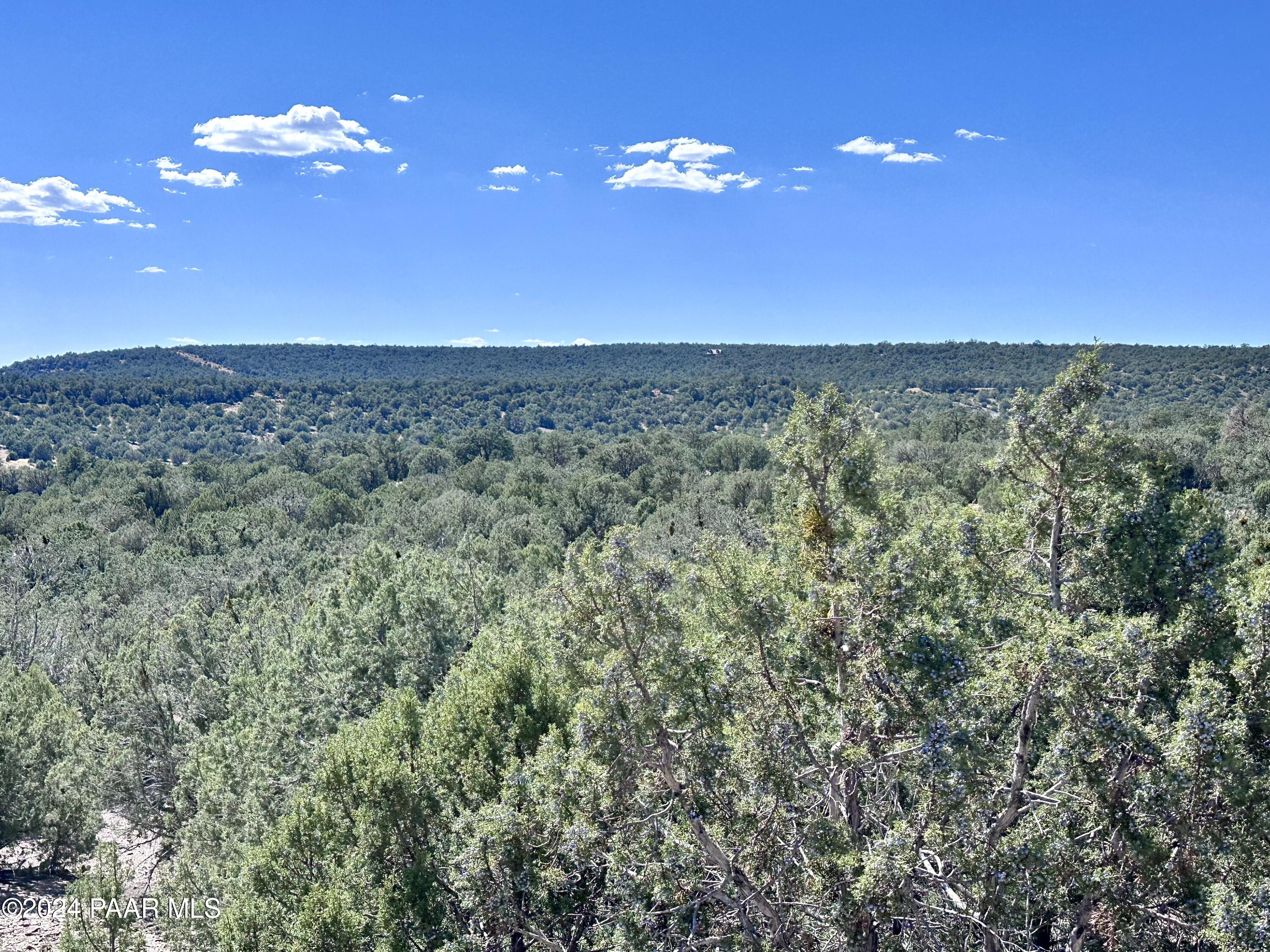 Lot 1173 N Wonderland Way