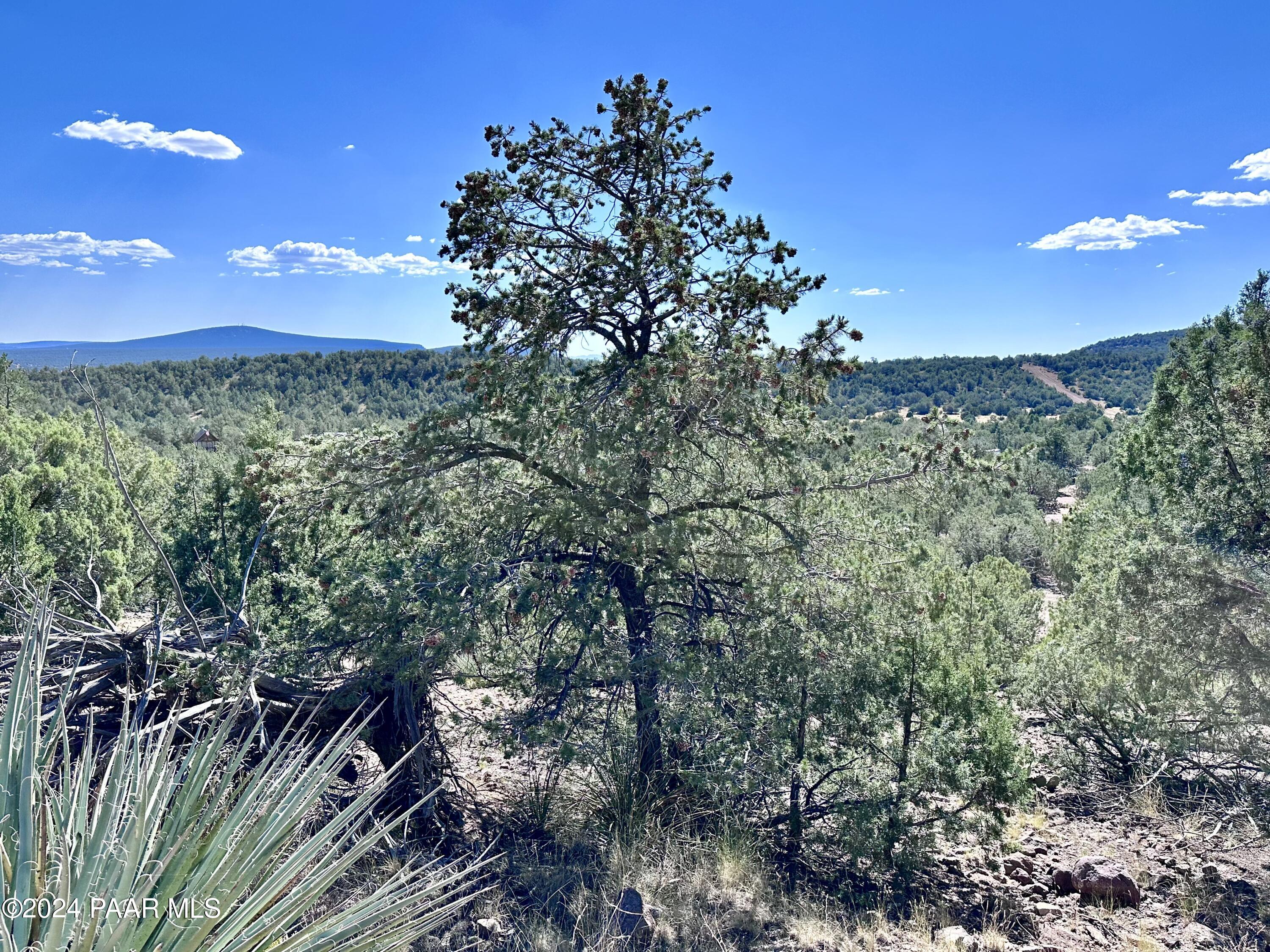 Lot 1173 N Wonderland Way