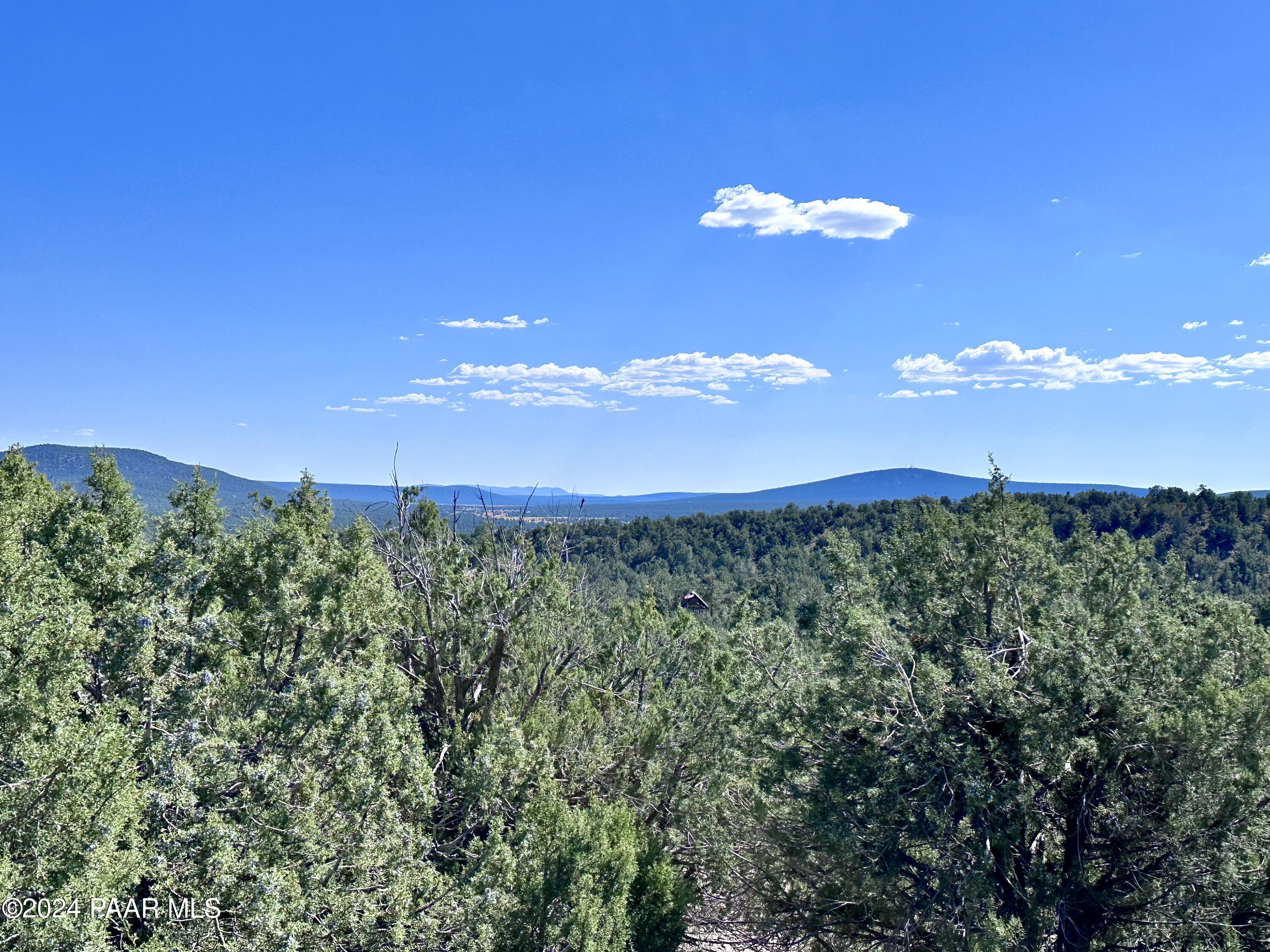Lot 1173 N Wonderland Way