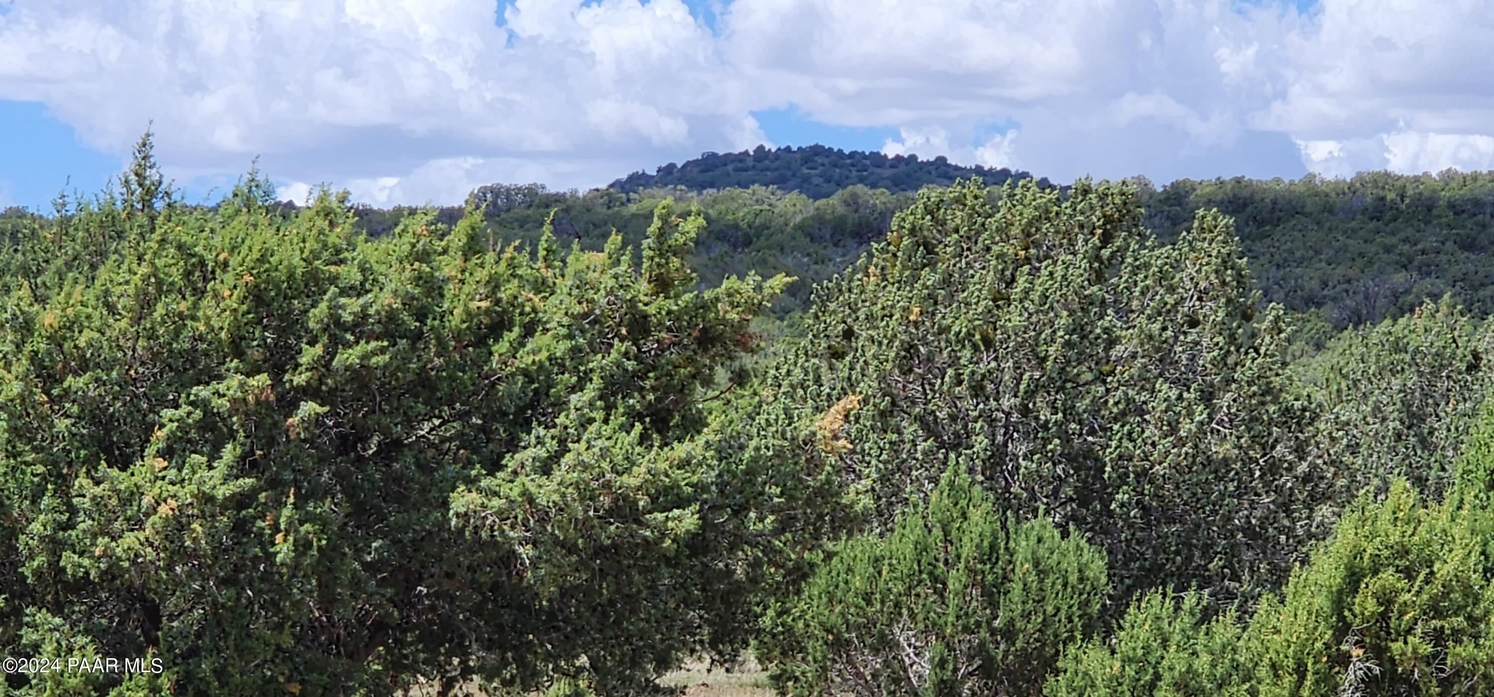 687-B Medicine Man Trail