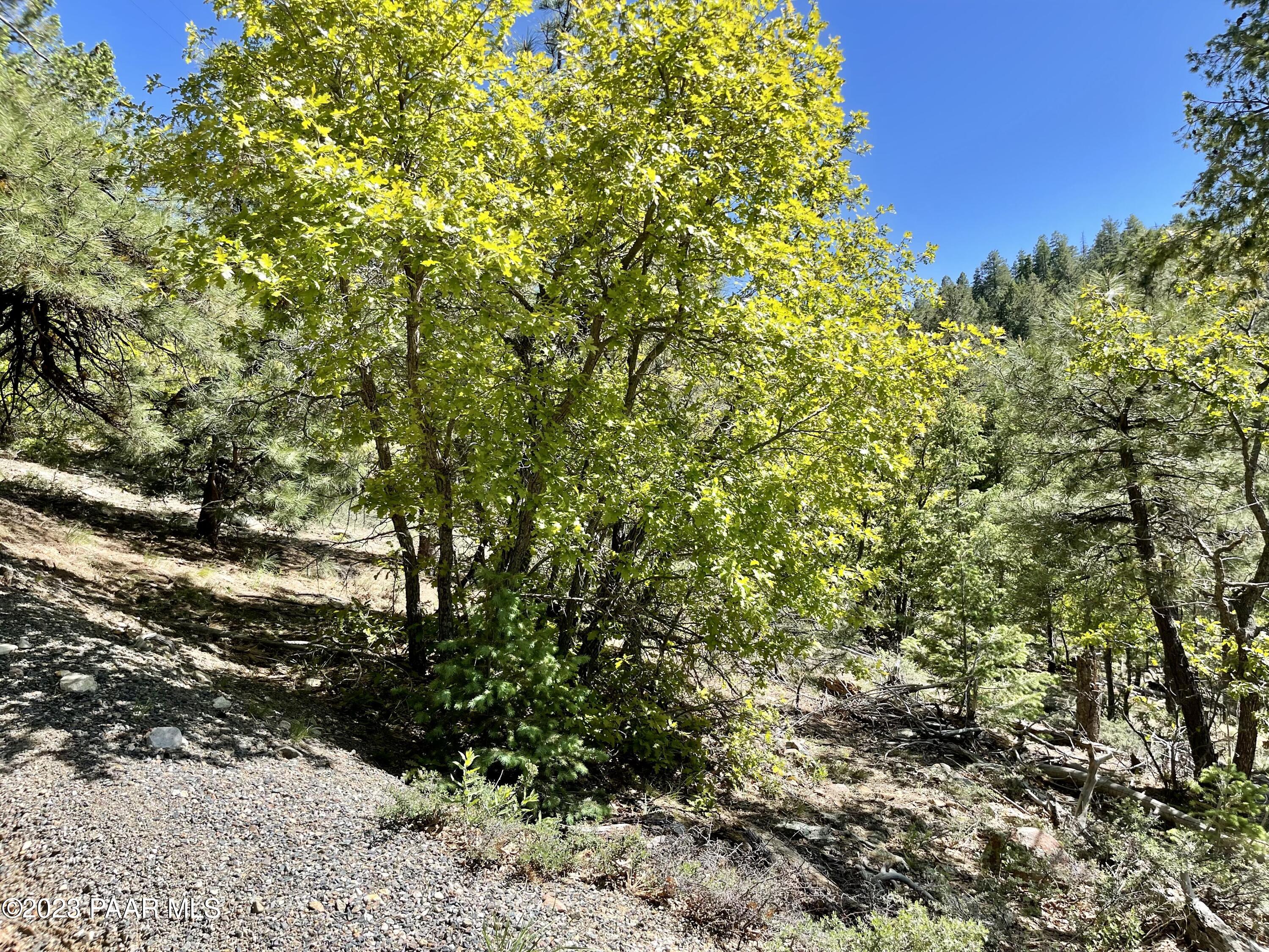 807x Snowdrift Mine Road