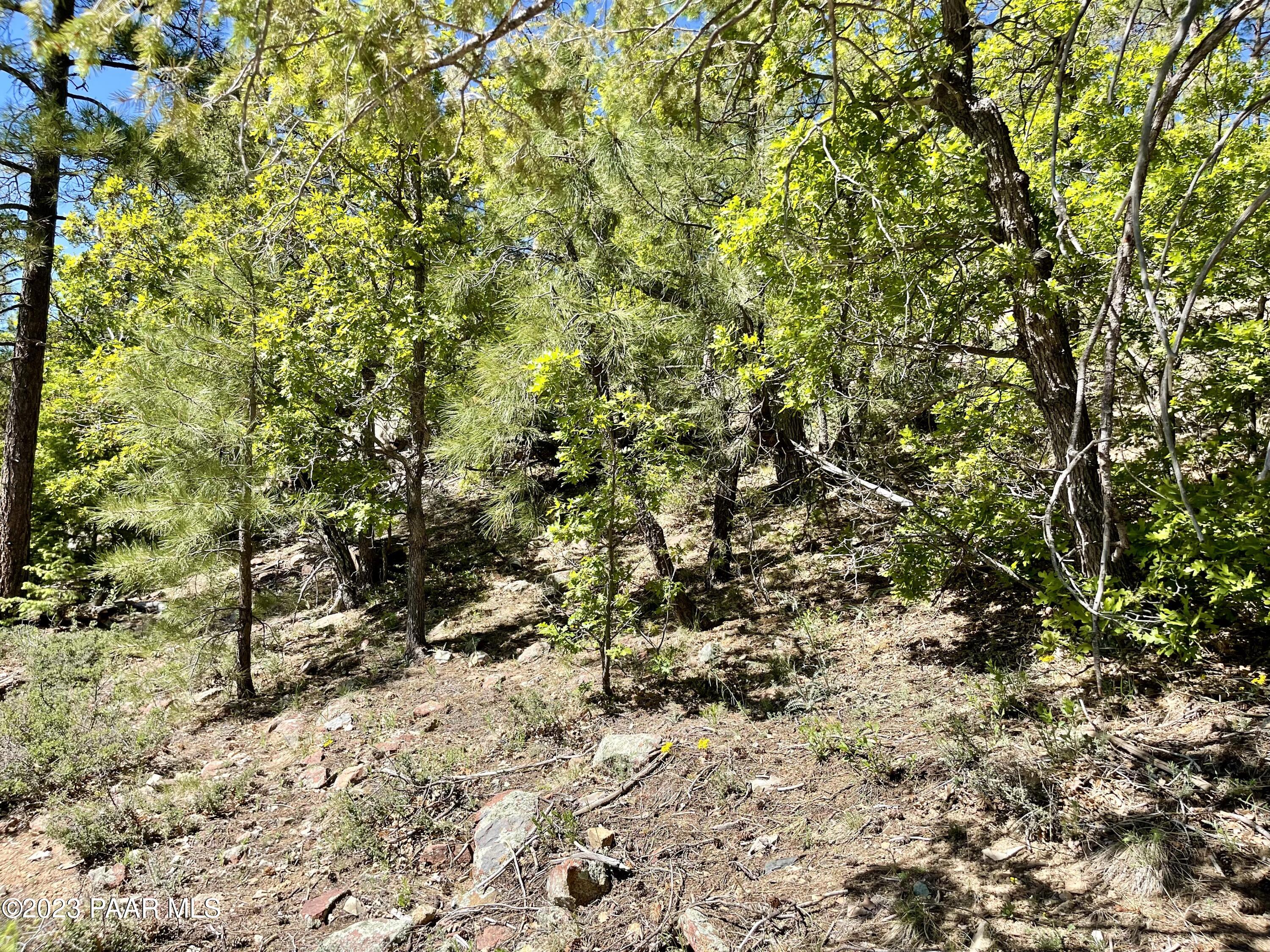 807x Snowdrift Mine Road