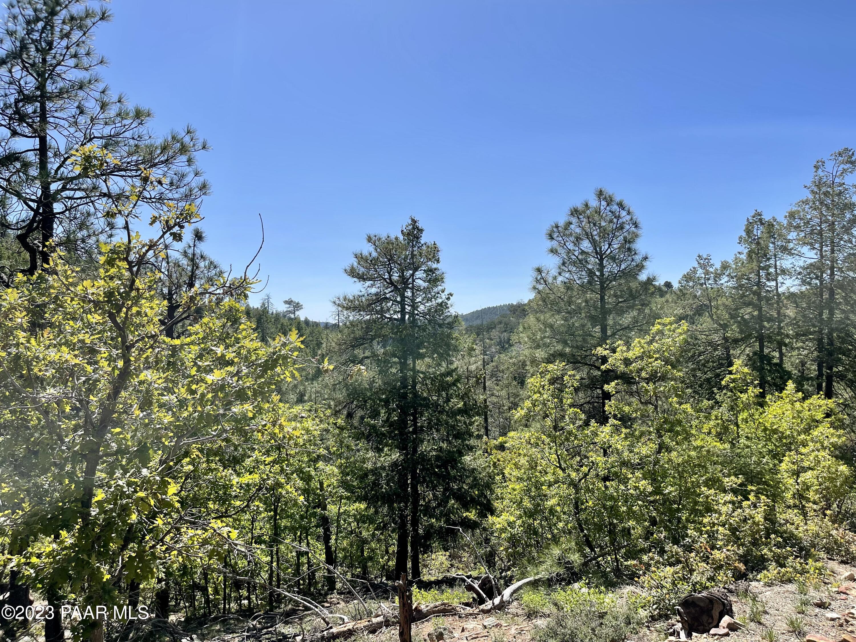 807x Snowdrift Mine Road