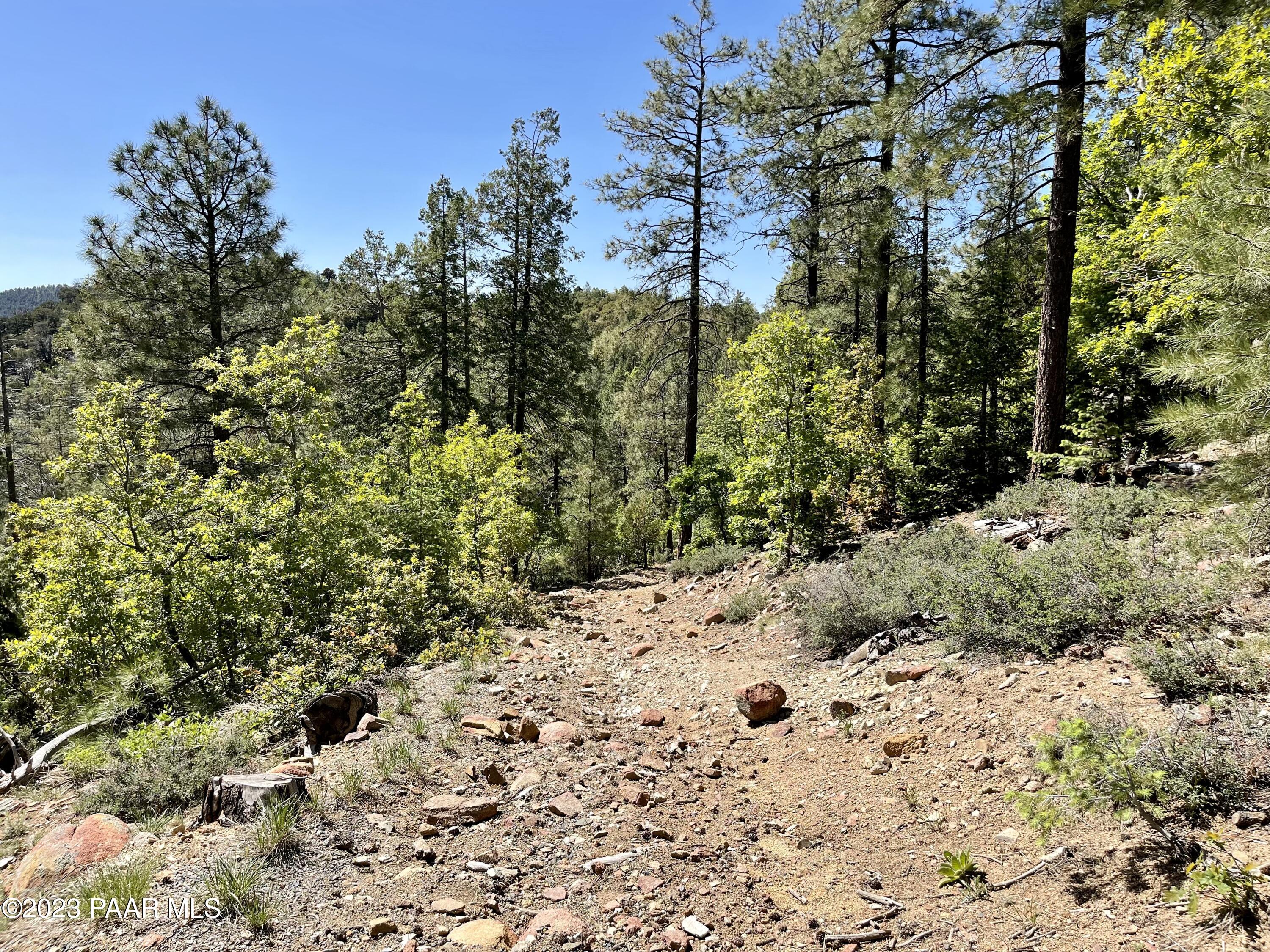 807x Snowdrift Mine Road