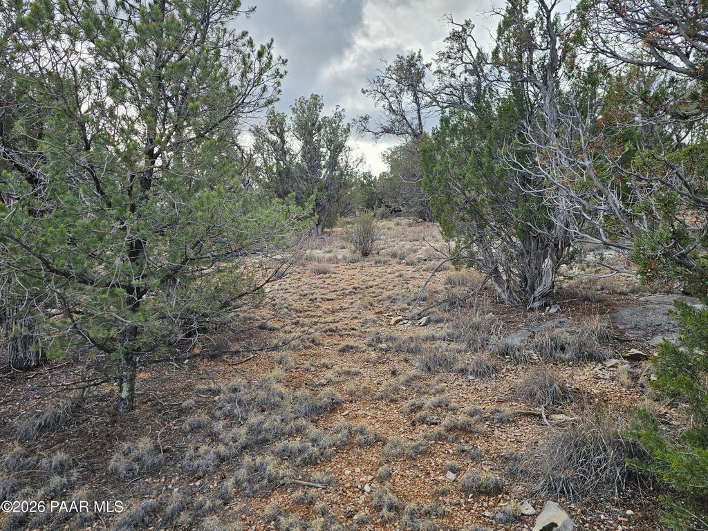 Photo of 55644 N Potrero Parkway, Seligman, AZ 86337 (MLS # 1078777)