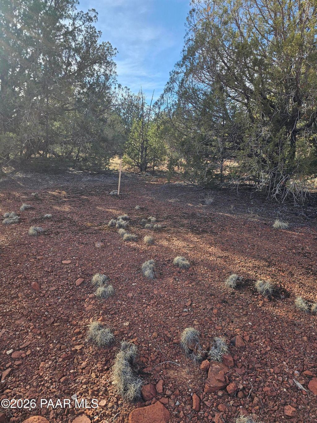 Photo of 55644 N Potrero Parkway, Seligman, AZ 86337 (MLS # 1078777)