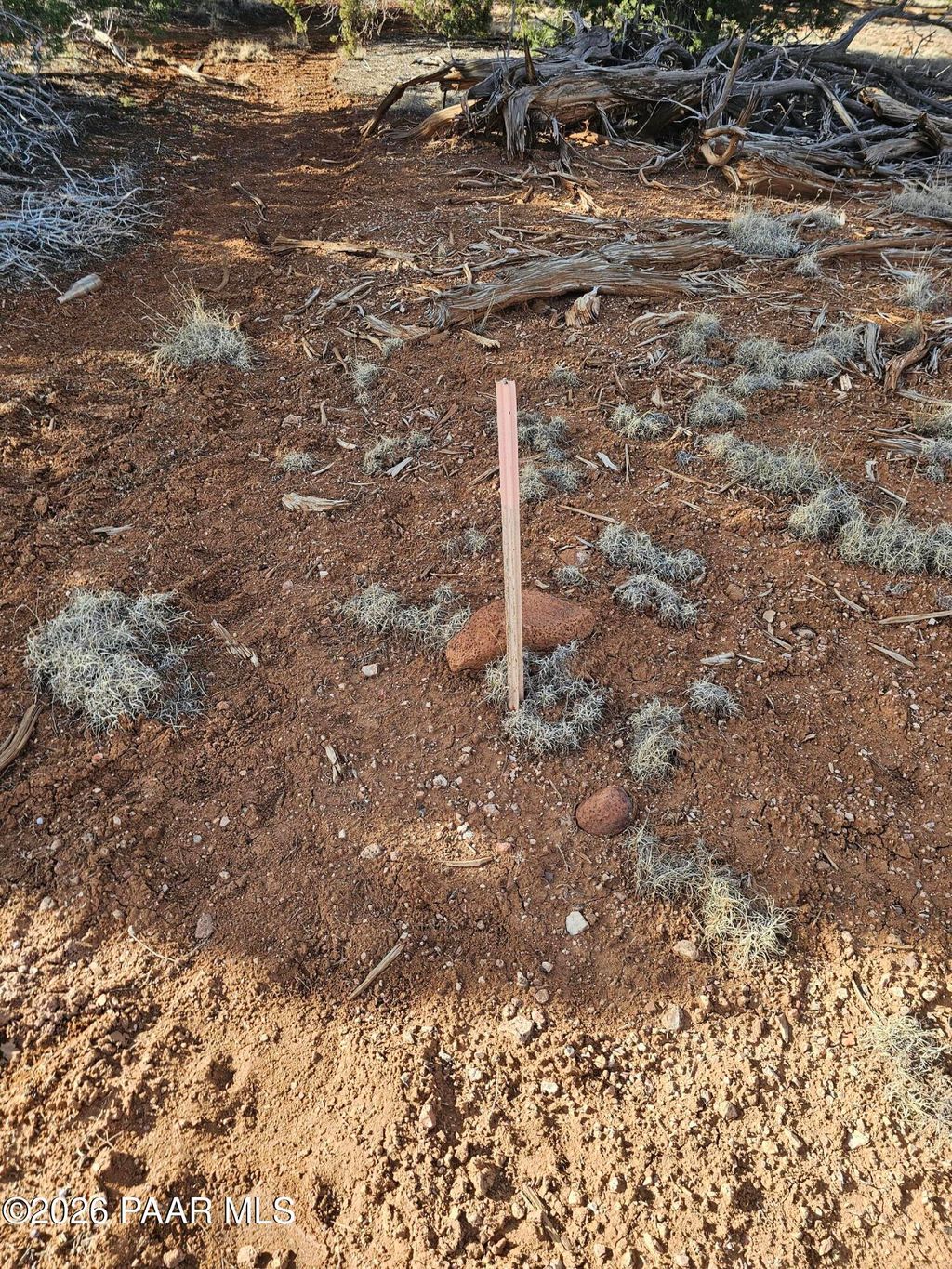 Photo of 55644 N Potrero Parkway, Seligman, AZ 86337 (MLS # 1078777)