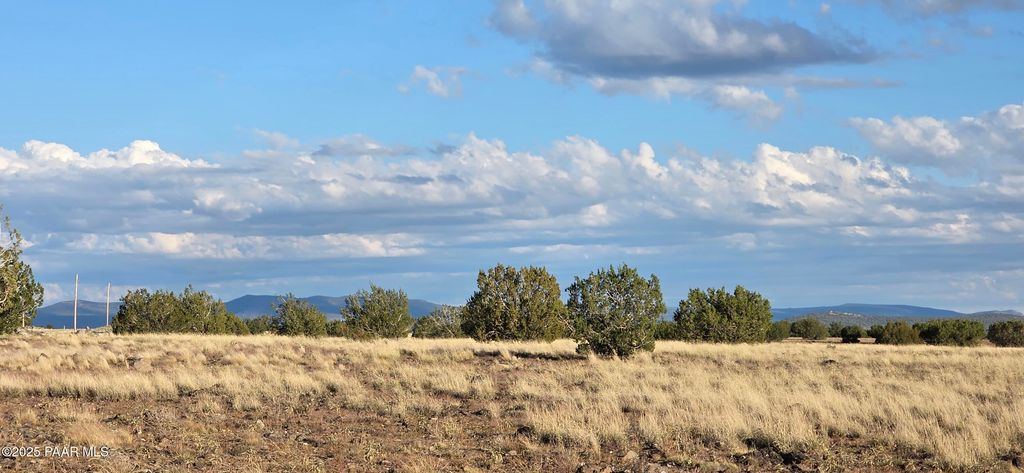 Photo of 293294 Arizona Road, Ash Fork, AZ 86320 (MLS # 1077732)