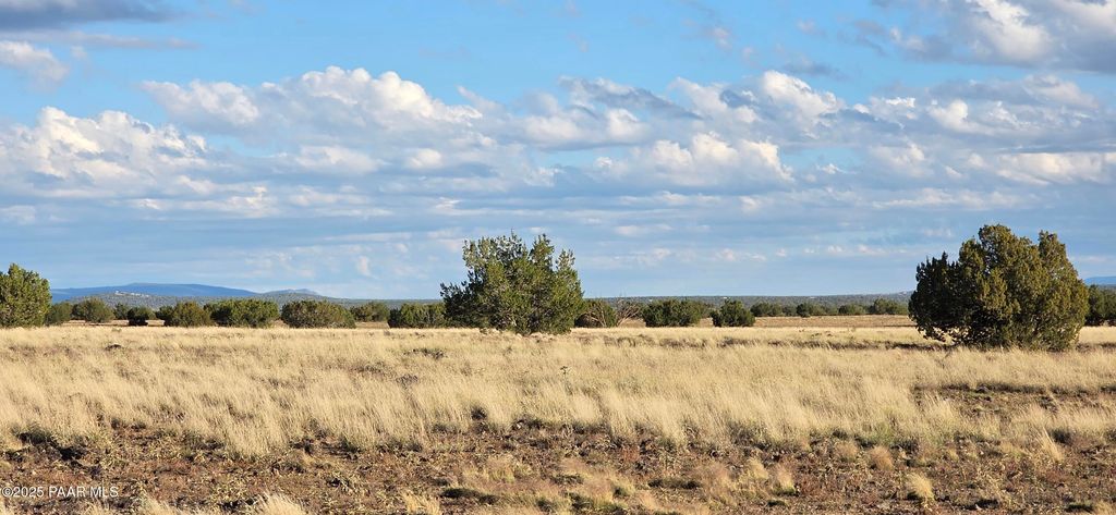 Photo of 293294 Arizona Road, Ash Fork, AZ 86320 (MLS # 1077732)