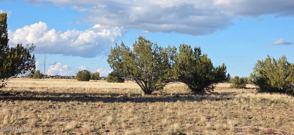 Photo of 293294 Arizona Road, Ash Fork, AZ 86320 (MLS # 1077732)