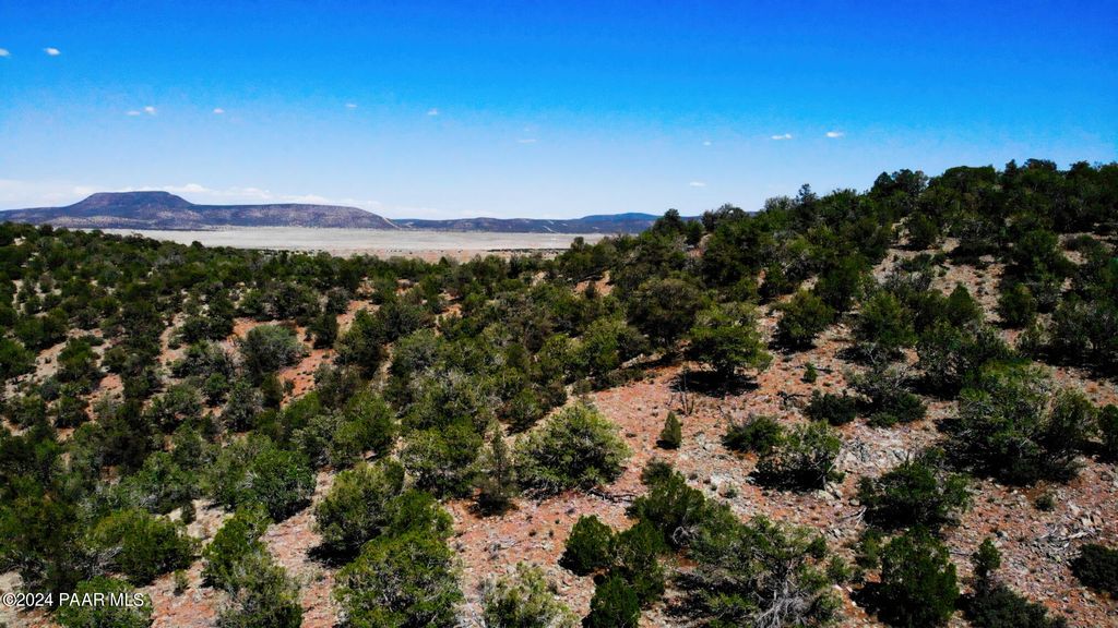 Photo of 30117010 Unnamed Rd (20 Acres), Seligman, AZ 86337 (MLS # 1081100)