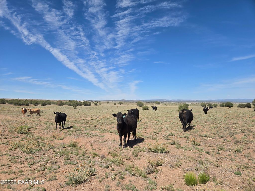 Photo of 256 Old Antelope Run Road, Ash Fork, AZ 86320 (MLS # 1082296)