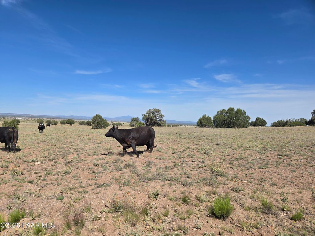 Photo of 256 Old Antelope Run Road, Ash Fork, AZ 86320 (MLS # 1082296)
