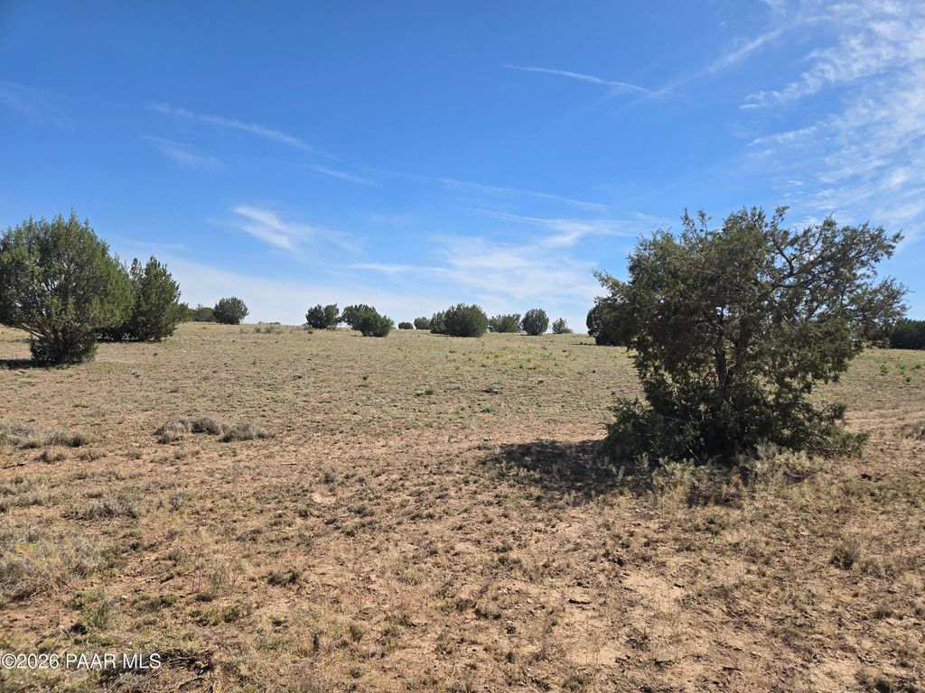 Photo of 256 Old Antelope Run Road, Ash Fork, AZ 86320 (MLS # 1082296)