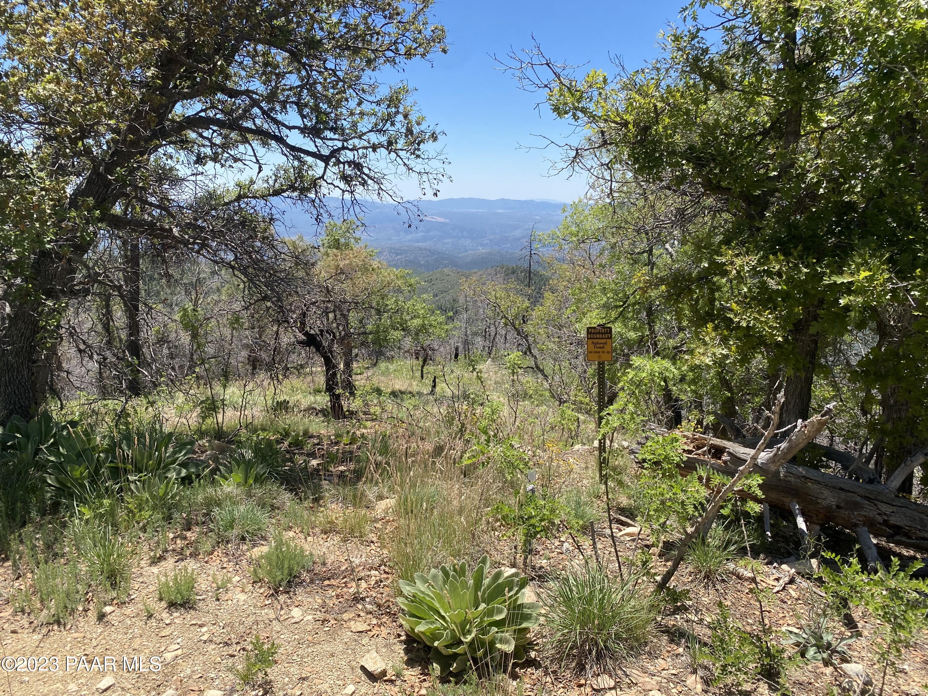 1002 N Turkey Trot Trail
