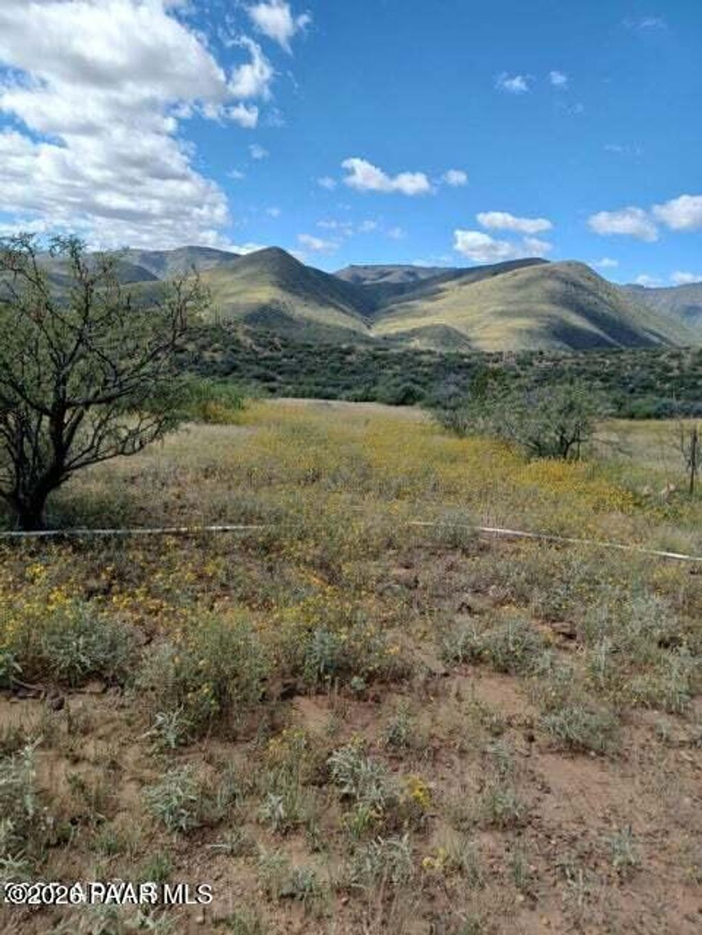 Photo of 5668 S Miners Pick Road, Dewey-Humboldt, AZ 86329 (MLS # 1078799)