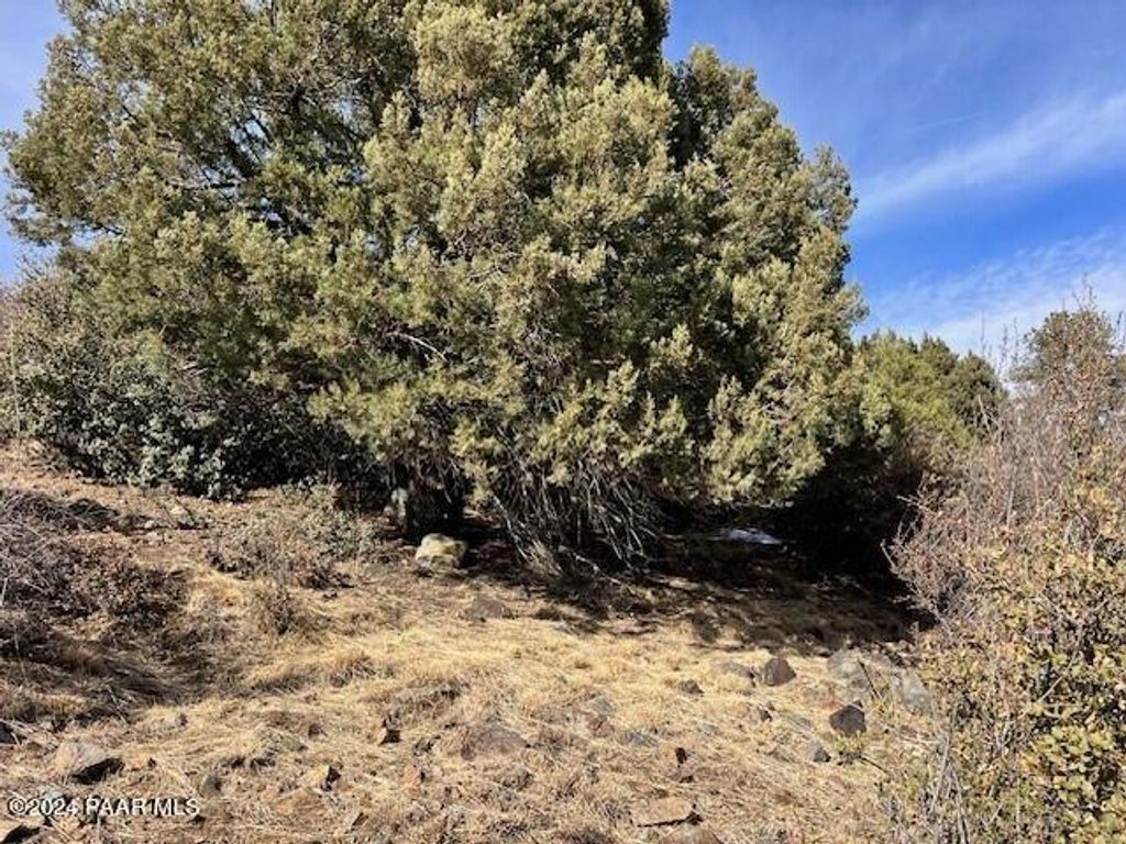 Photo of 591 Sandpiper Drive, Prescott, AZ 86303 (MLS # 1081572)