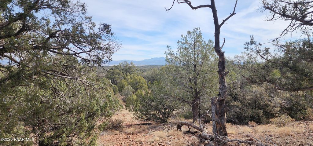 Photo of 292 Off Indian Springs, Ash Fork, AZ 86320 (MLS # 1078474)
