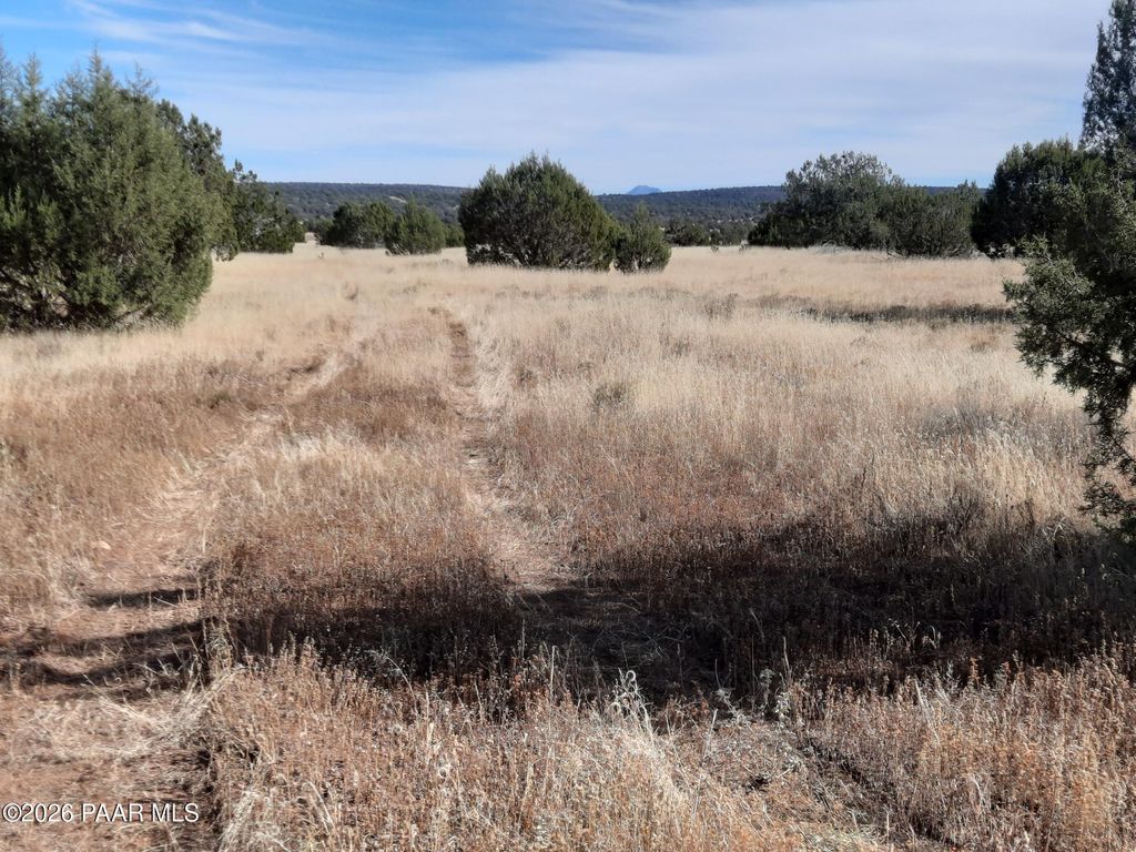 Photo of 32381 W Montecito Lane, Seligman, AZ 86337 (MLS # 1078761)