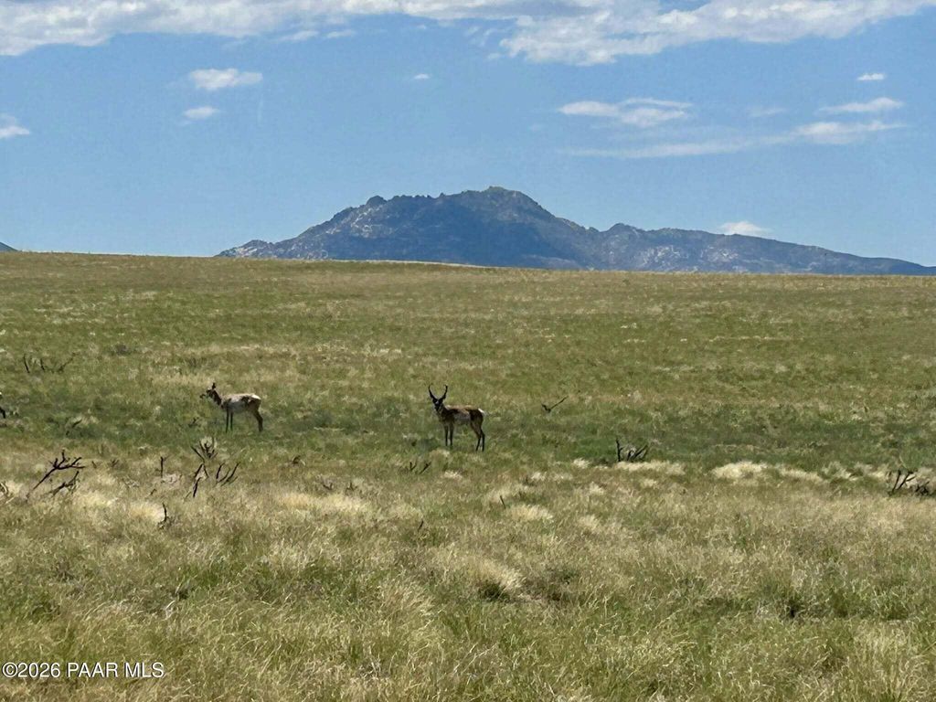 Photo of 401 E Norma Drive, Prescott Valley, AZ 86315 (MLS # 1079466)