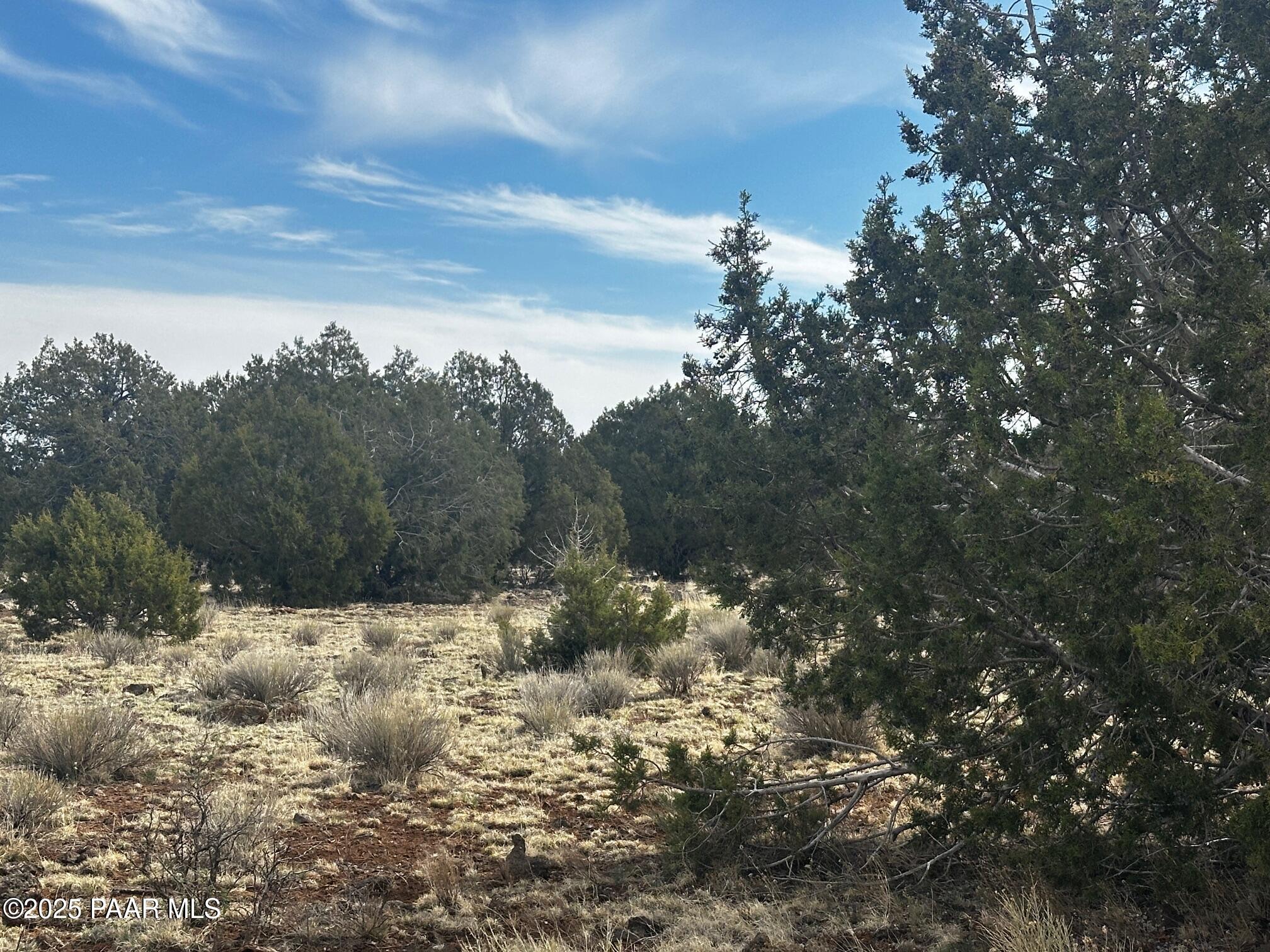 742 Westwood Ranch