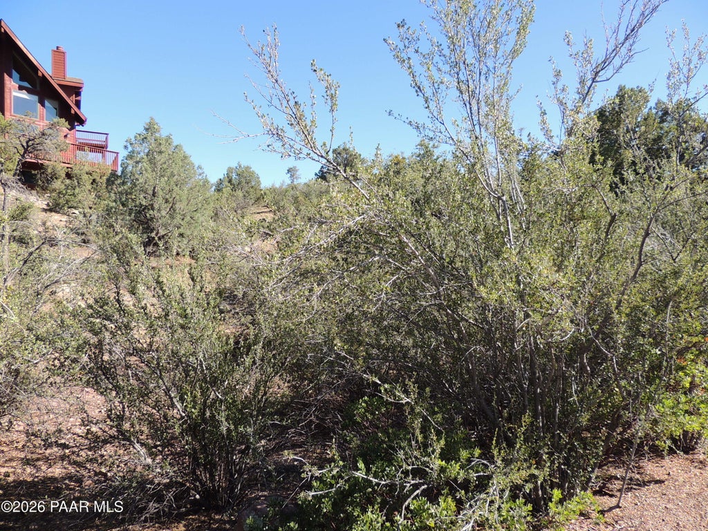 Photo of 1381 Sierry Peaks Drive, Prescott, AZ 86305 (MLS # 1083070)