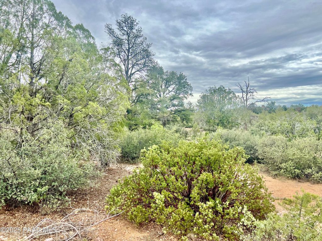 Photo of 5495 W Three Forks Road, Prescott, AZ 86305 (MLS # 1076709)