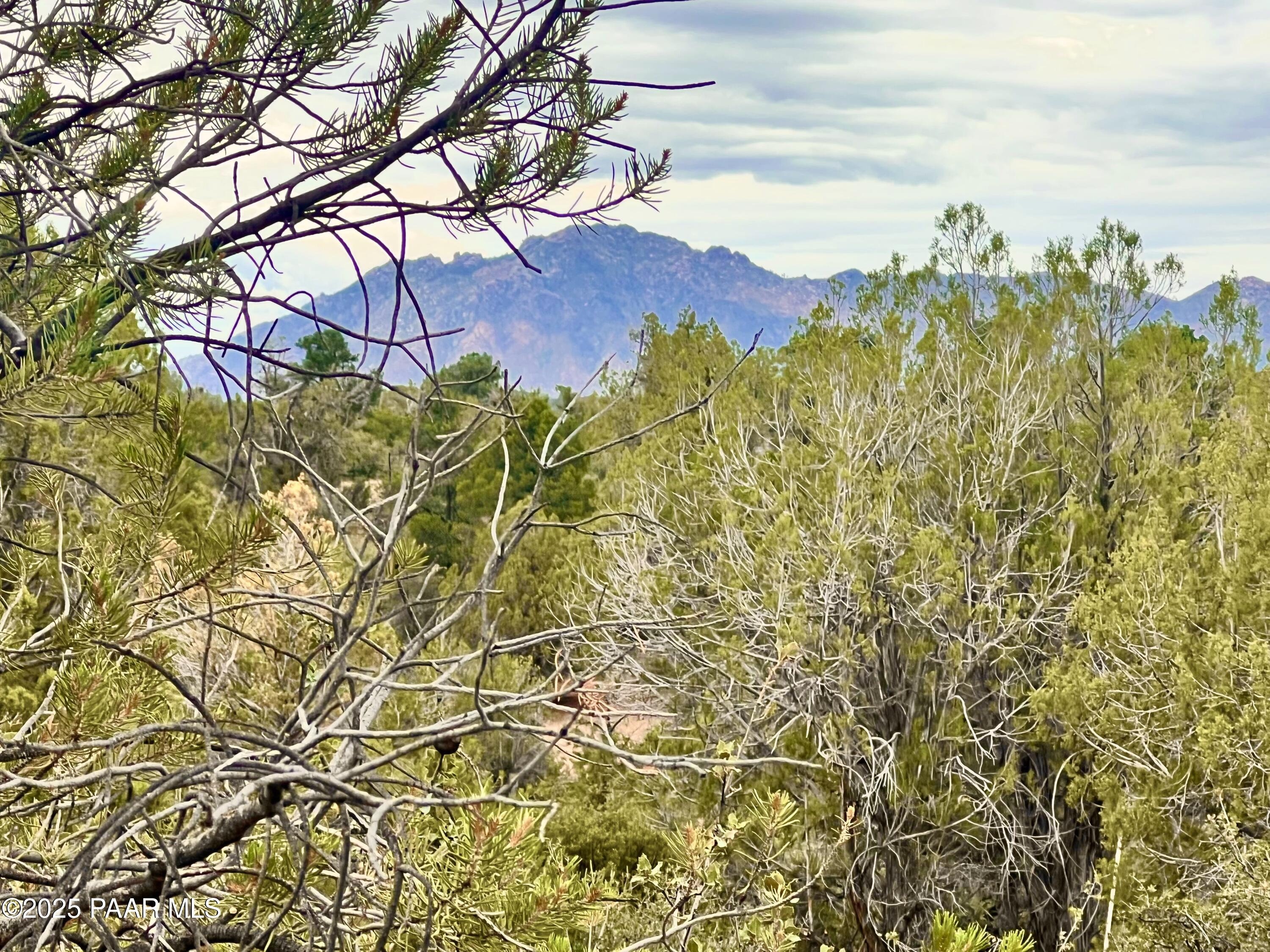 5495 W Three Forks Road