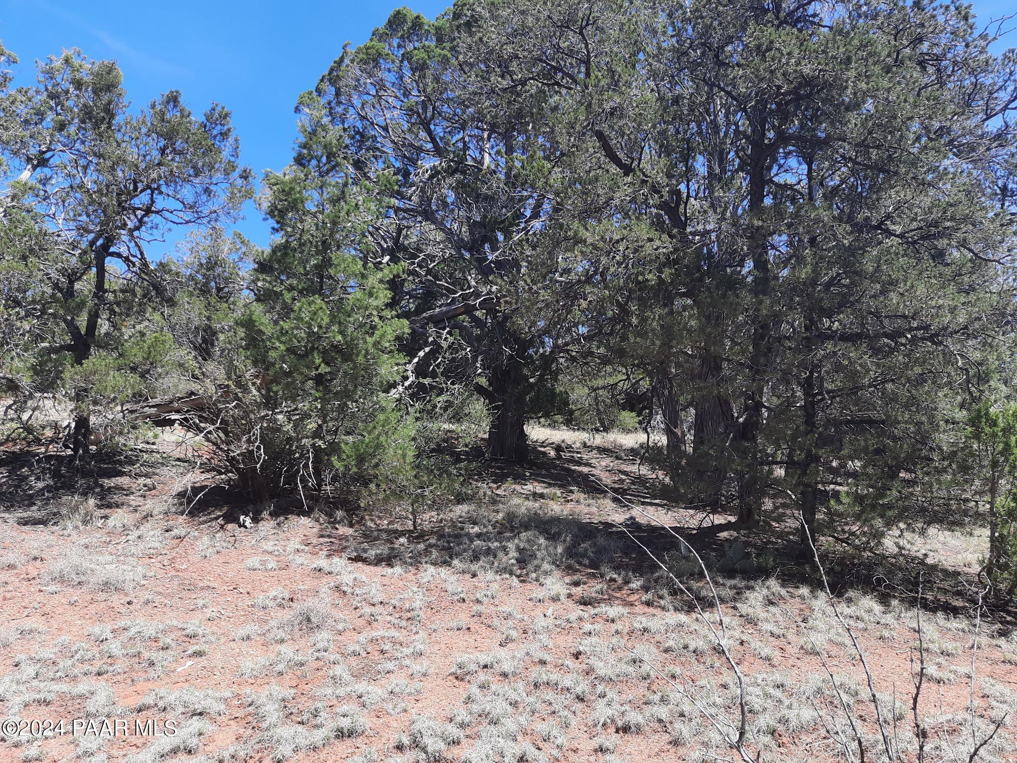 Lot 128 Forest Acres