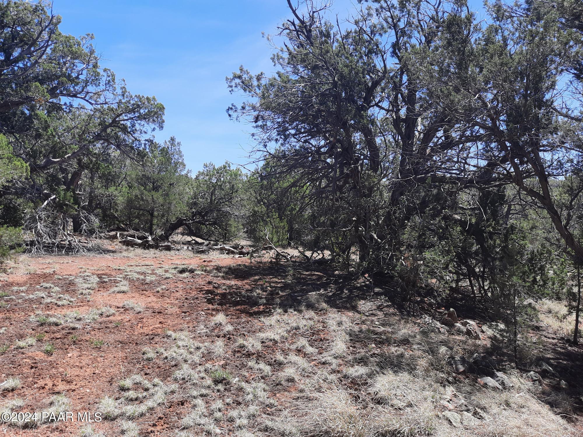Lot 128 Forest Acres