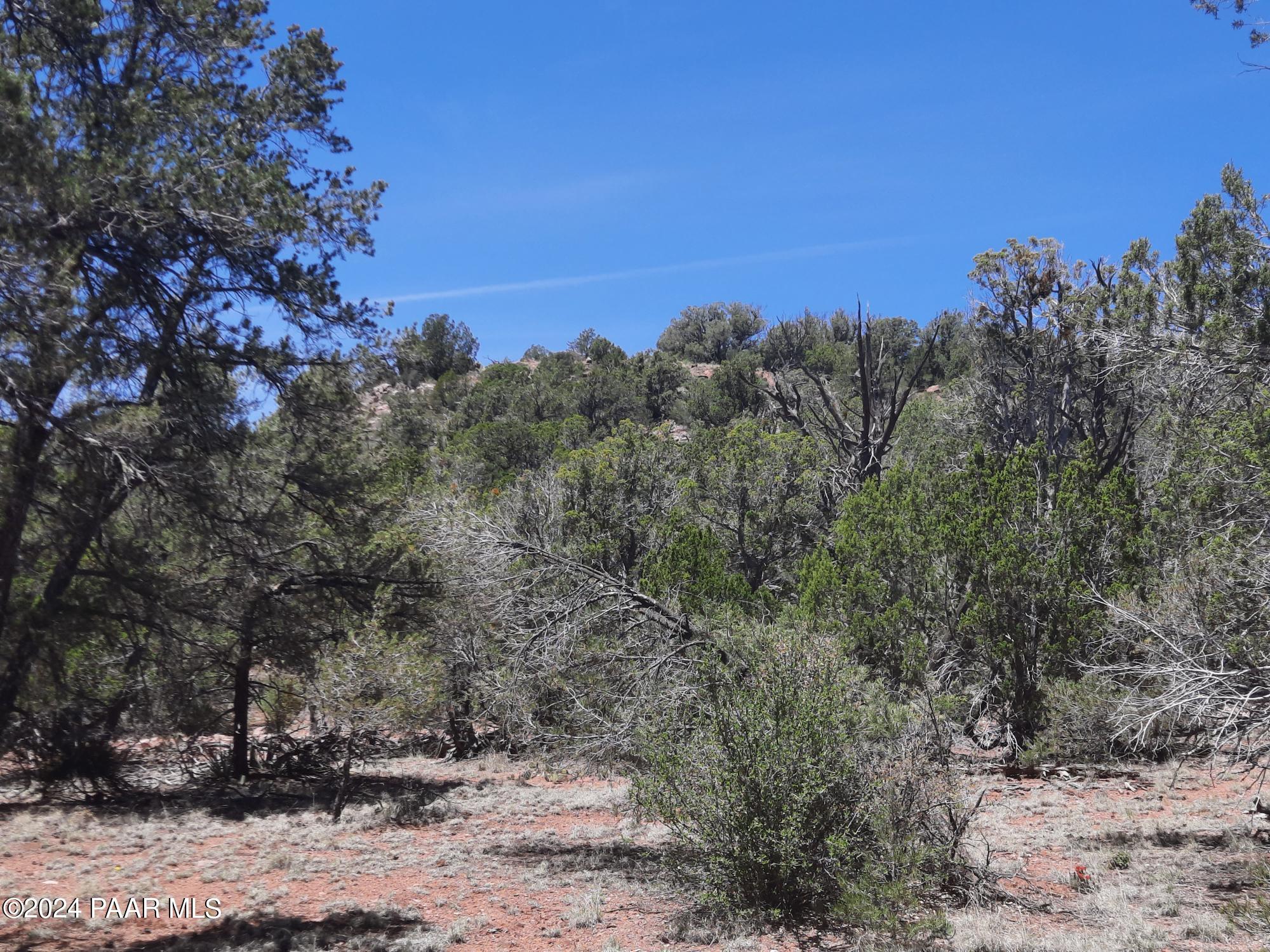 Lot 128 Forest Acres