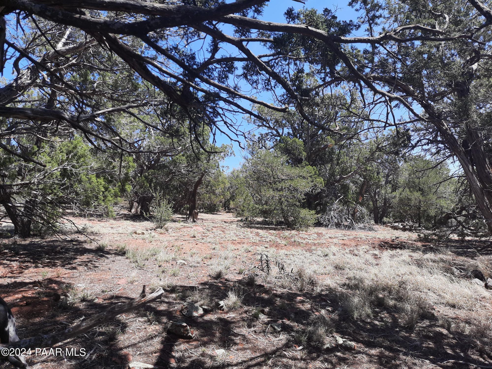 Lot 128 Forest Acres